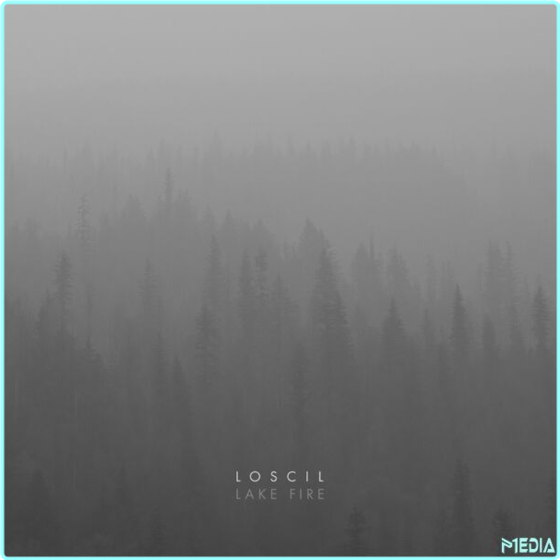 [Image: ra0cv1r1tzf8.png]