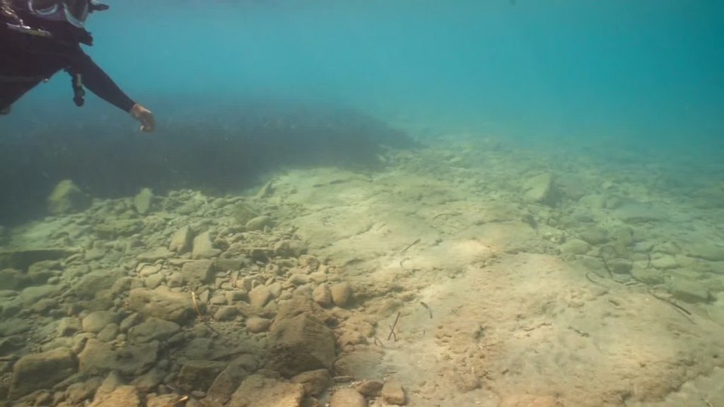 [Image: lkd7y1of3i9g.jpg]