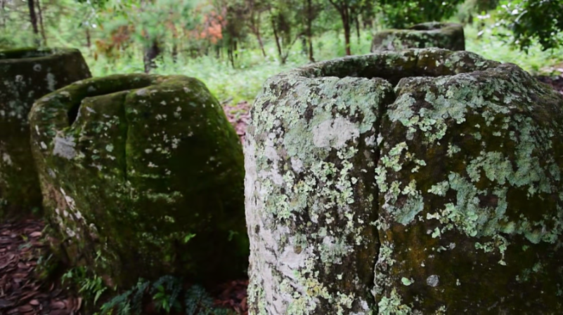 [Image: jehin7fd6h99.png]