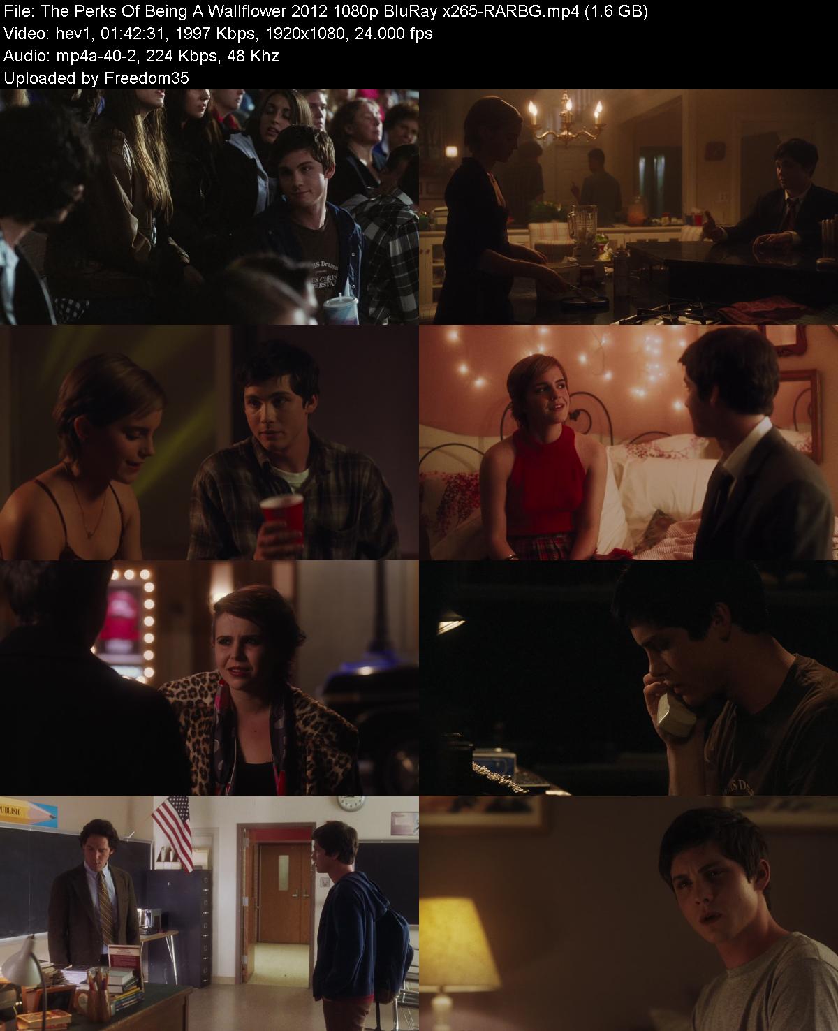 The-Perks-Of-Being-A-Wallflower-2012-108