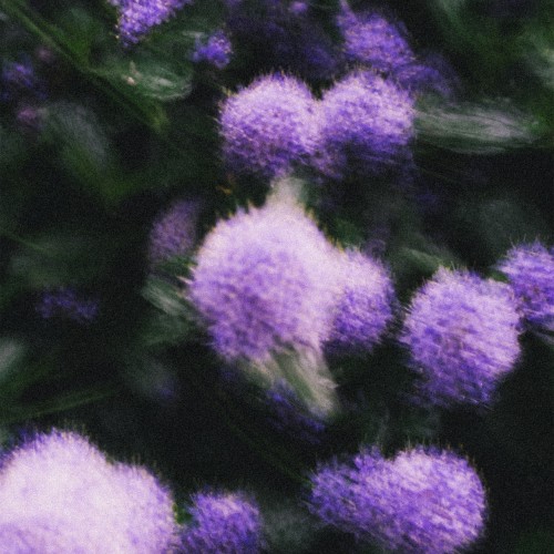 En:vy - Finite Heart (2026)