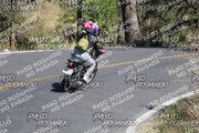 IMG-1365