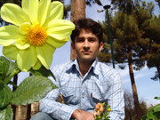 volghanhosseini (1006)