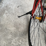 IMG-7026.jpg