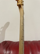 IMG-6695