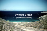 [Image: PRISTINE.jpg]