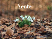 lente-040