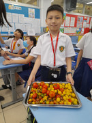 1abb6587-819c-44a9-8152-0c1079160363