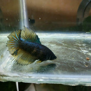 IMG_20190710_121917_600