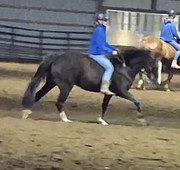 0A3B44A9-D968-46C4-8F11-E25F2AD234BF