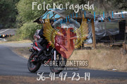 IMG-0646