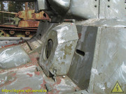 IMG-6349
