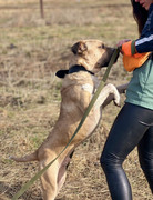 IMG_20230416_173506_555