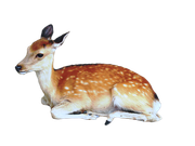 precut_deer_png_by_kayleero_d4he5v0-fullview