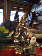 IMG_20211225_090557_252