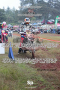 IMG-0154