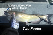[Image: BLUE-SILVER.jpg]