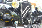 IMG-4203.jpg