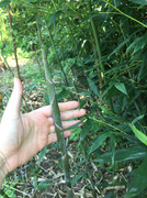 62070081_2319654895030542_9153971597348962304_n