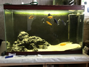 652DF440-AD83-4BCE-BC1D-2D8741E75321