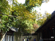 photo 4 2025 12 24 16 00 33