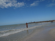 DSC01416