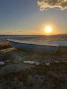 IMG-1775
