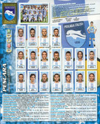 Album-Calciatori-2010-2011-Panini-101