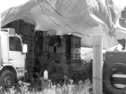 Bulgariatek Varvara 2008 222