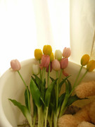 photo 17 2026 01 03 21 33 01