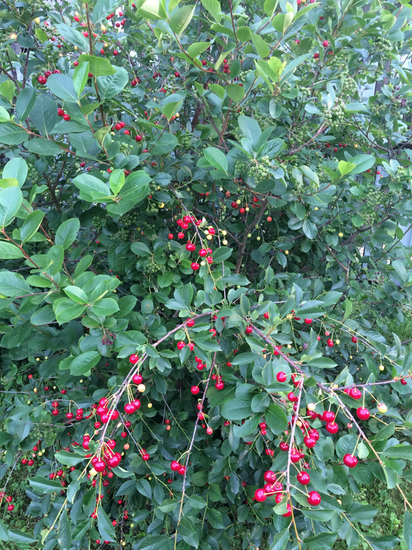 49164048-D658-4D7A-A1C6-140FA906ECA3