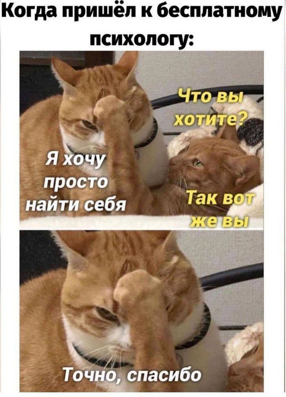 98a370f1916c430ce5c9999b8d82624e.jpg