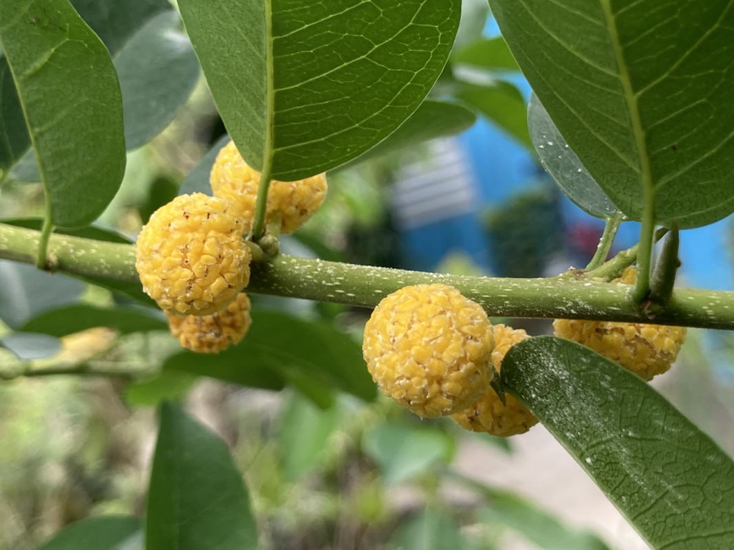 FBBAAB6C-861F-4D8A-A17F-2449215D2422