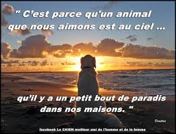 [Image: IMG-0422.jpg]