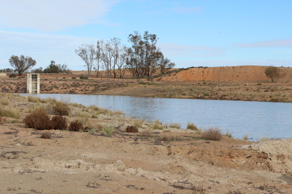 2021 Boys Googs Tk & Off-Track Desert Trip (149)