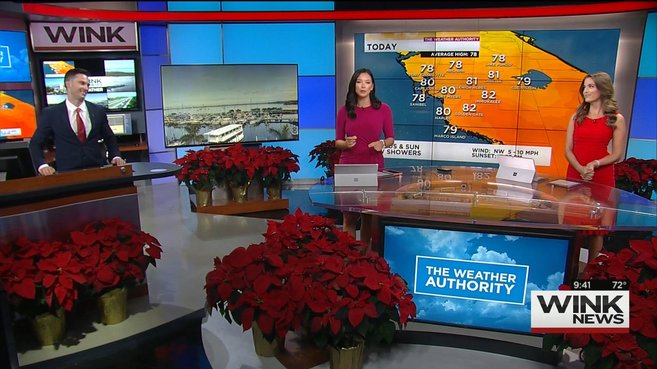 12.05 - 14.00.00 - WINK News @ 9 00AM..ts_snapshot_43.45.639