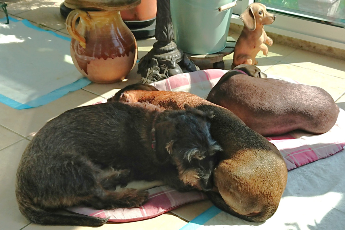 [Image: DSC-3799.jpg]