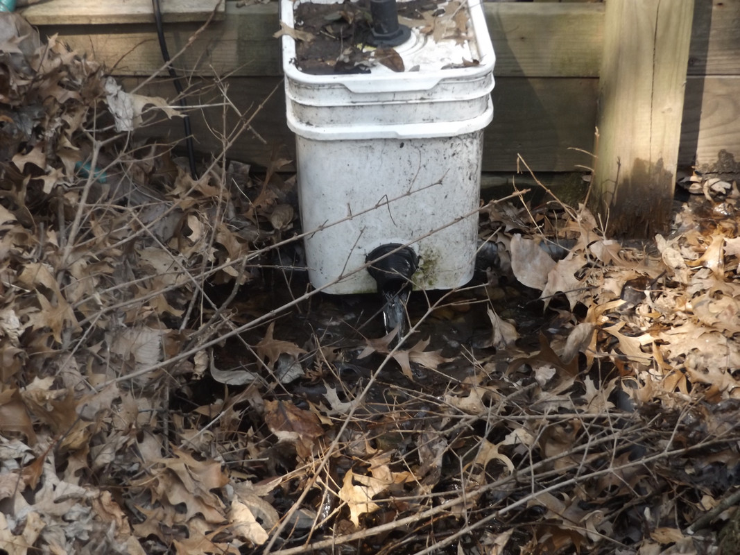 DSCF8590.jpg