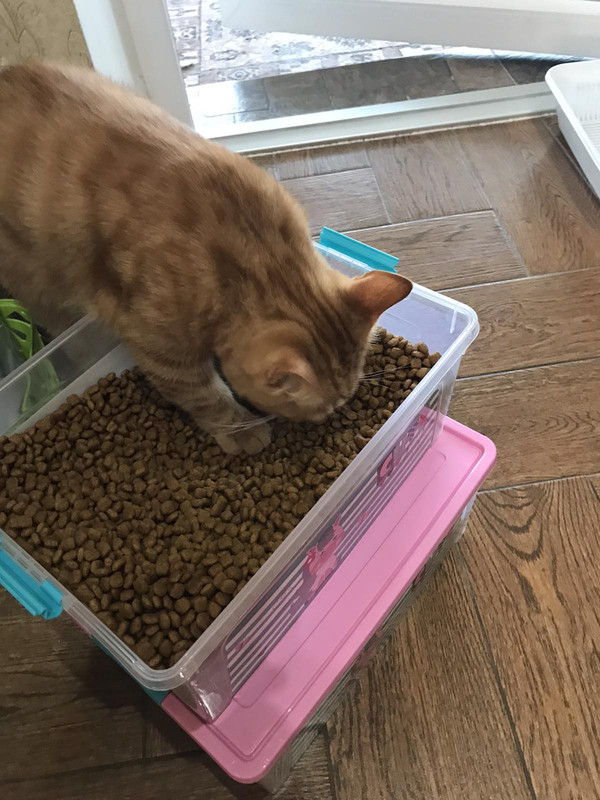 изображение_viber_2022-08-20_18-38-41-870