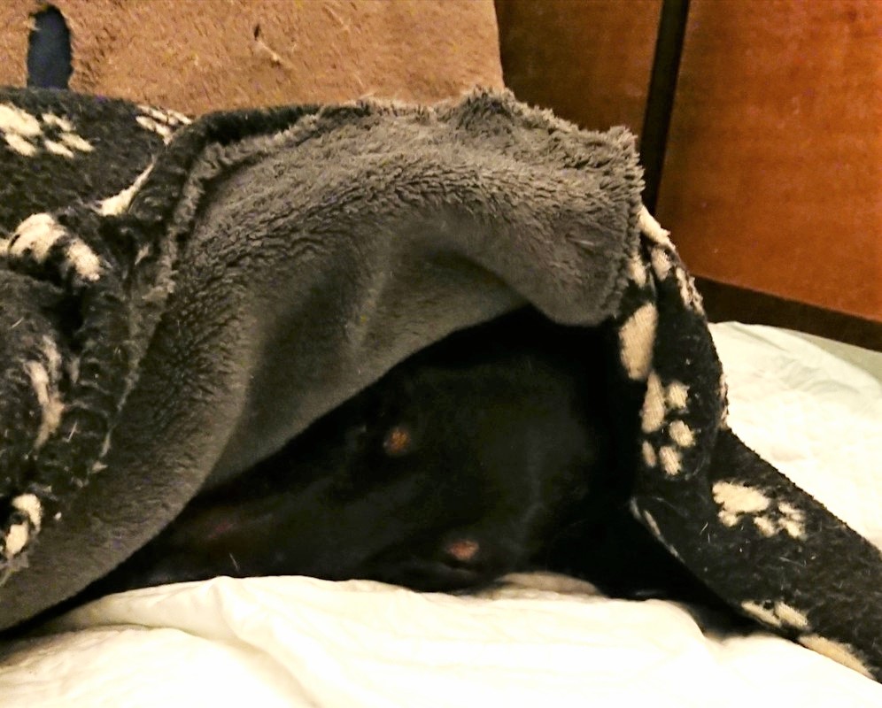 [Image: 20221223-215625.jpg]