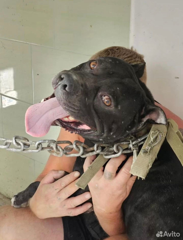 WhatsApp Image 2023-10-07 at 17.12.26 (1)