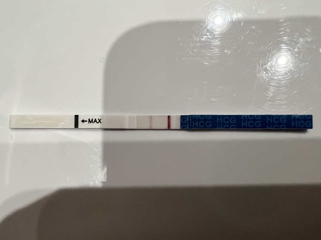 49B08DC7-3113-4241-8B6A-9D184513D2C3