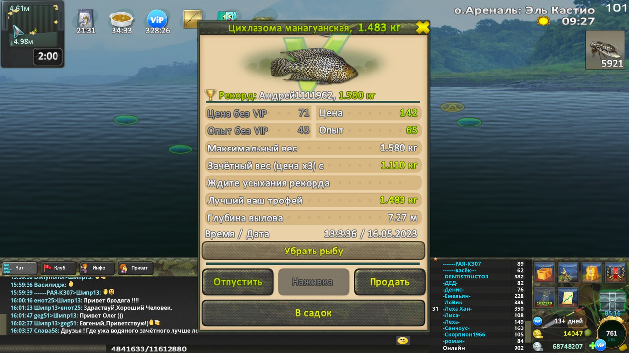 Цихлазома манагуанская - Охотник на ведьм