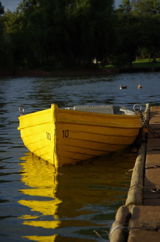 IMGP0775