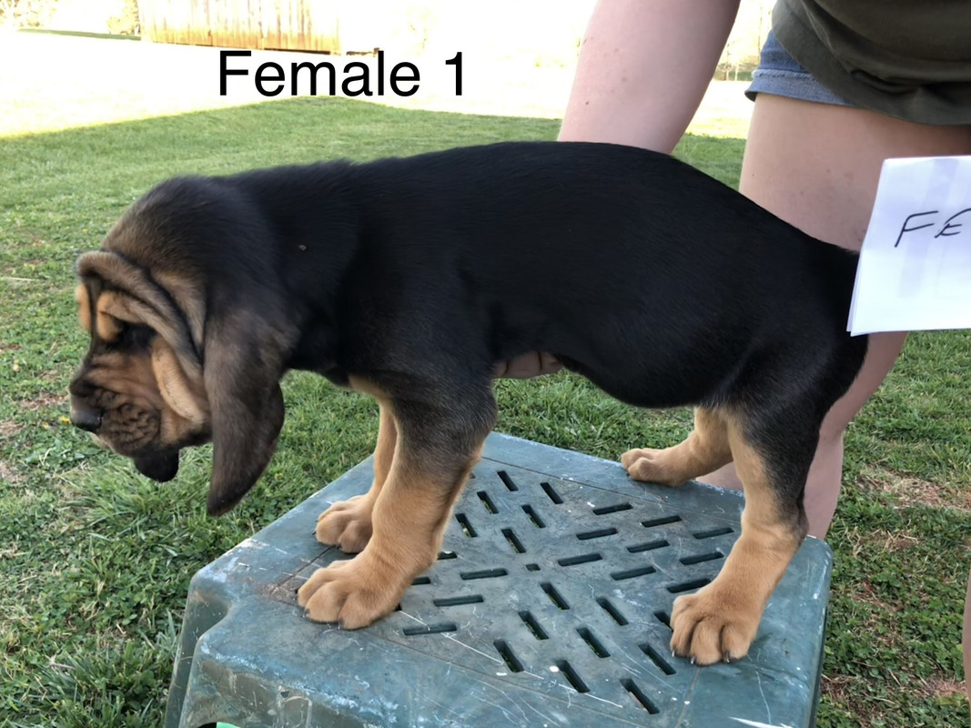 37007D1E-9A5F-41C1-A7CA-37ED3F281ADD