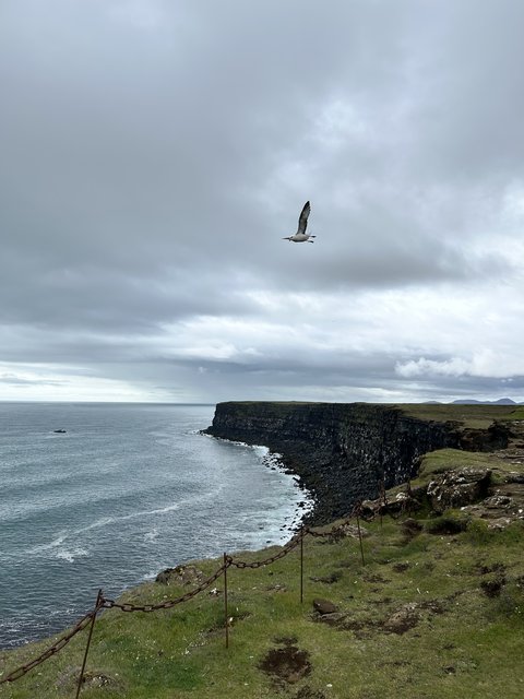 21 DIAS EN MI SEGUNDO VIAJE A LA TIERRA DEL HIELO Y FUEGO (en construccion) - Blogs de Islandia - 26/06/2025 Península de Reykjanes, pisamos la erupcion de 2023. (11)