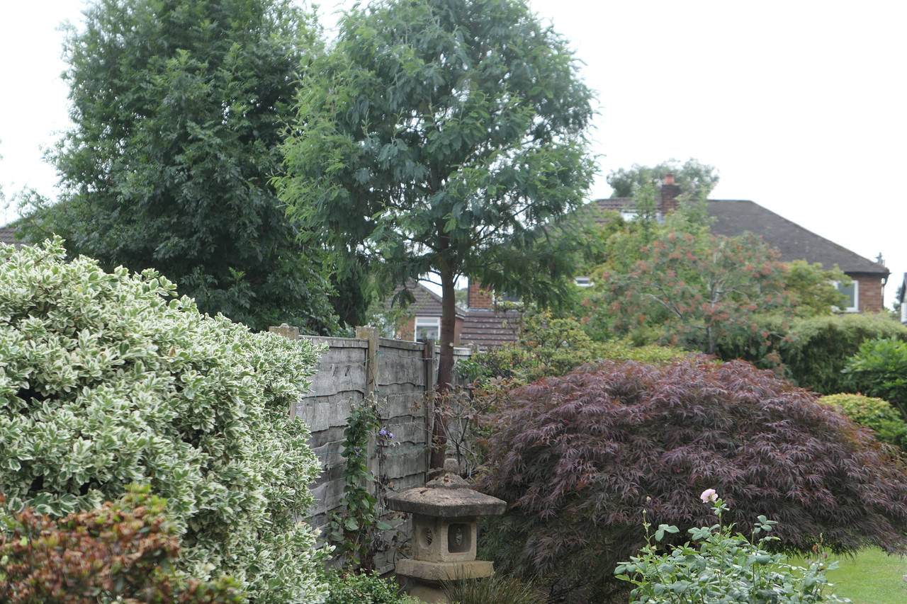 P1050025