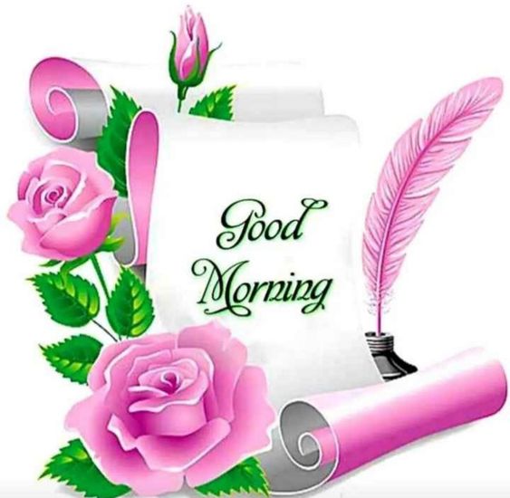 good-morning-pink.jpg