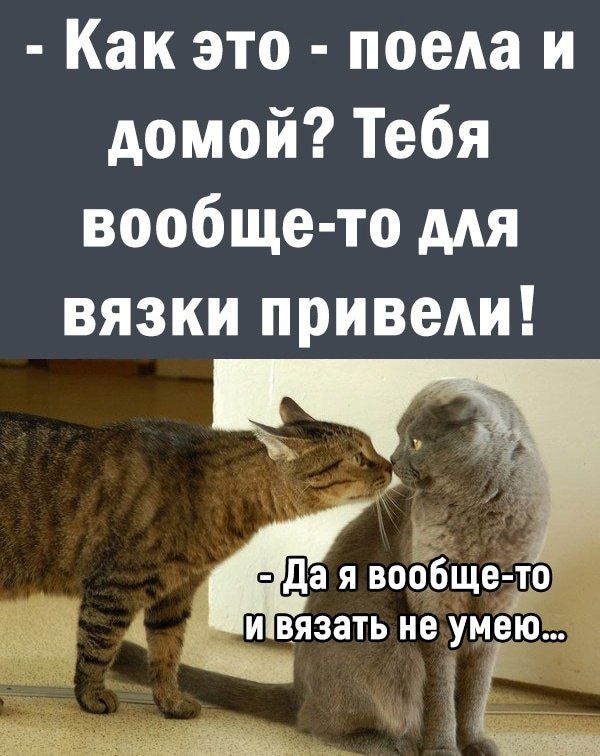 dfe7c77de21fc8ca6851831f876f7a76 (1)