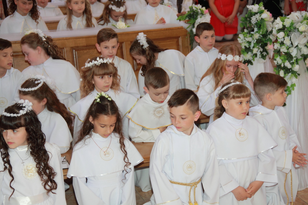 IMG_8038  на сайте  Grodna.ru